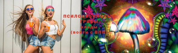 spice Алексеевка