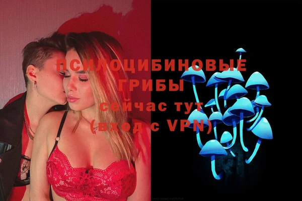 твердый Алексин