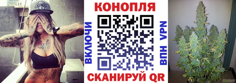купить наркотики цена  Каневская  Каннабис сатива 